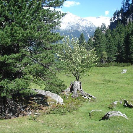 Gastehaus Rieser Hotel Ried im Zillertal Eksteriør billede